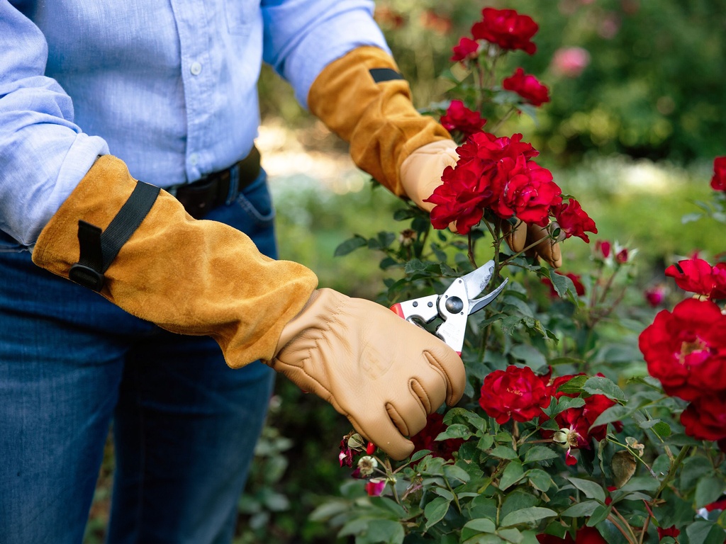 Rozen handschoen Felco 705, maat S. Hoogwaardig leder met suede manchet, perforatie bestendig.