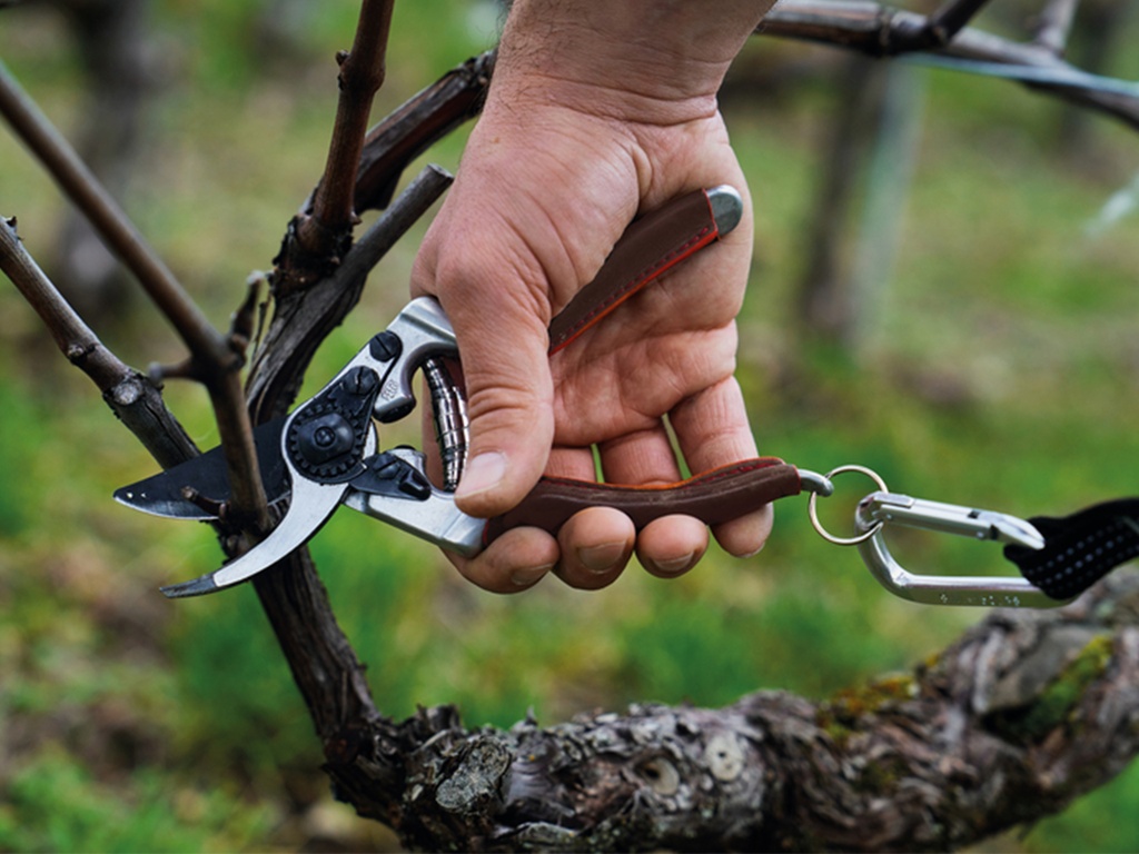 Snoeischaar met F-Tech bovenmes, leder comfort  handgrepen en sluitclip met extra 'halve stand'