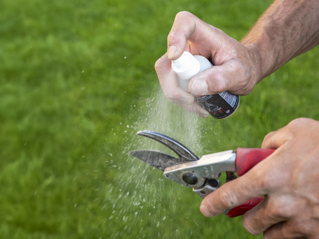 Takkenschaar FELCO 211-60 inclusief gratis Harsverwijderaar FELCO 981