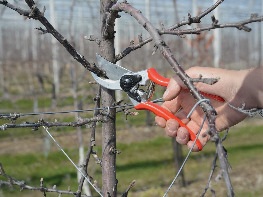 Snoeischaar FELCO 2 inclusief RESERVE BOVENMES, knipt tot 25 mm