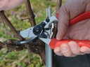 Snoeischaar FELCO 7, ergonomisch met rolhandvat, knipt tot 25 mm
