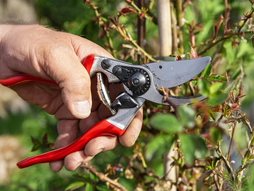 Snoeischaar FELCO 9 linkshandig, ergonomische schaar met gehoekte snijkop