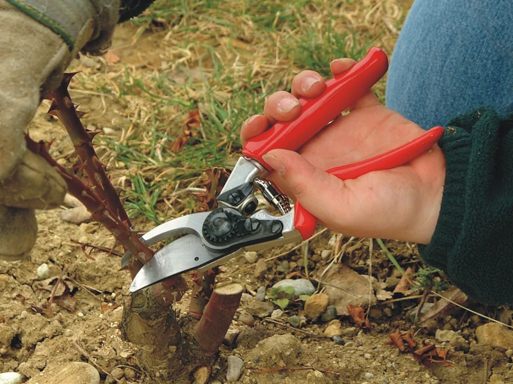 Sfeerfoto ATLAS bats - JPG.webp