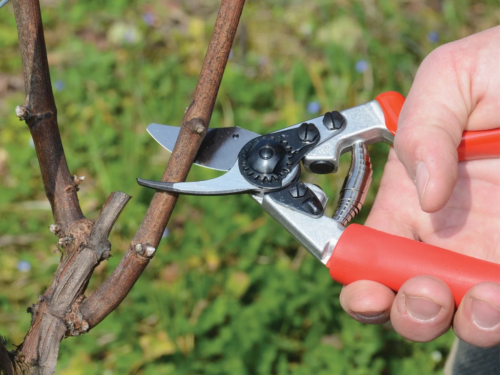 Sfeerfoto ATLAS bats - JPG.webp