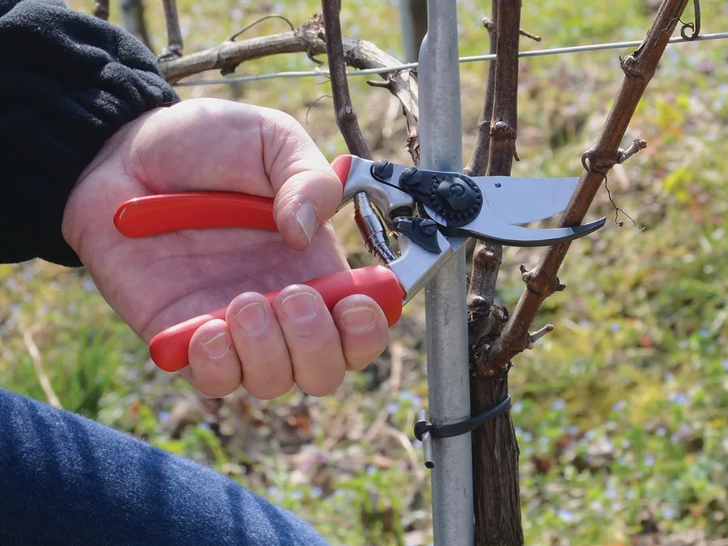 Snoeischaar FELCO 17 linkshandig (Medium), compact met rolhandvat, knipt tot 20 mm