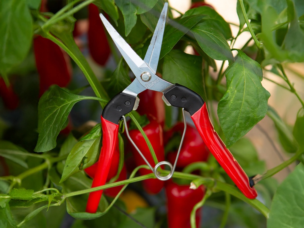 Stekschaar - Oogstschaar FELCO 322, rechte lange bek, lengte 190 mm