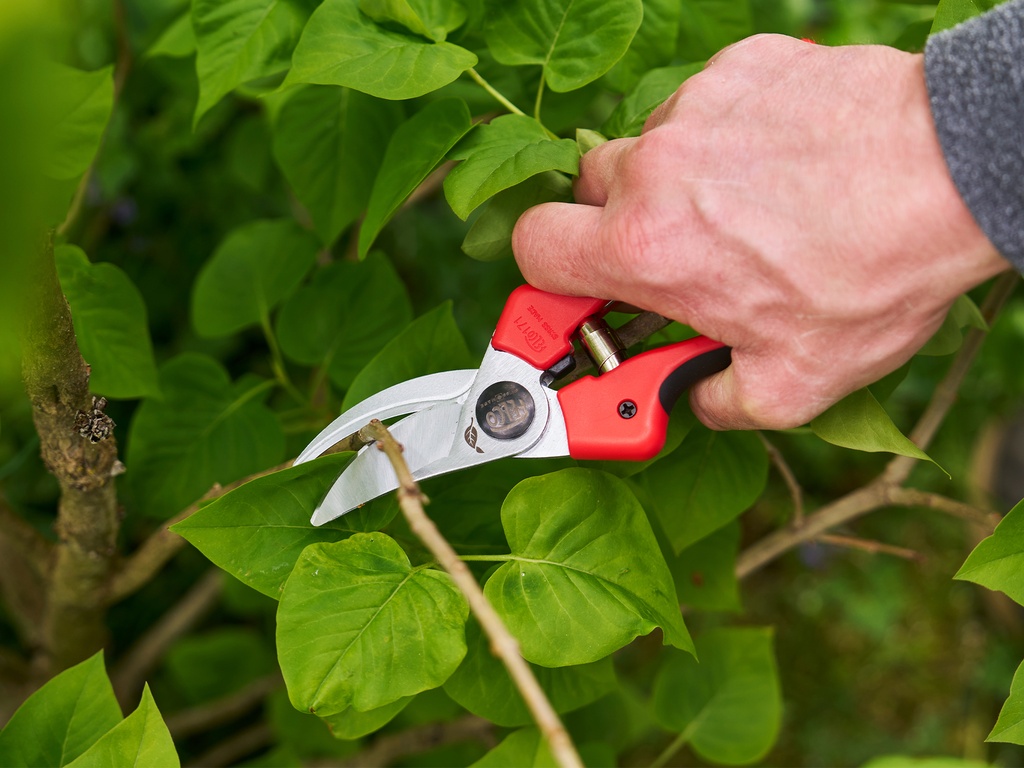 Snoeischaar FELCO 171L, lichte hobbyschaar voor grote handen, knipt tot 25 mm