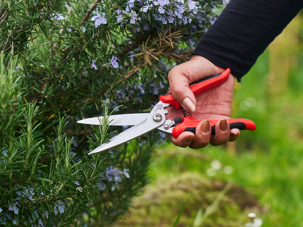 Multifunctionele schaar FELCO 456