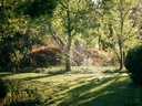 FISKARS X-Series Zwenksproeier S-M, max. 300 m2 