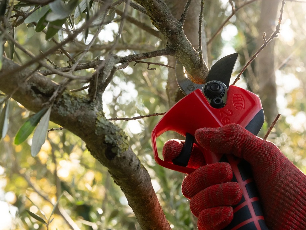 Felco 2E elektrische snoeischaar