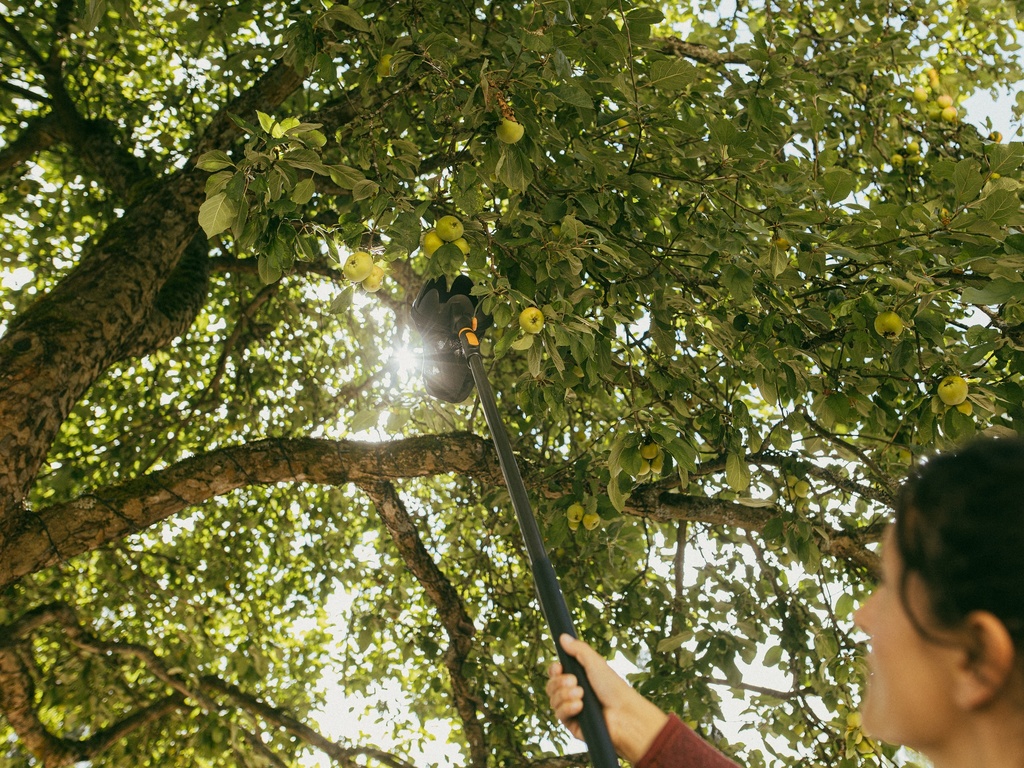 FISKARS OneClick Fruitplukker verstelbaar