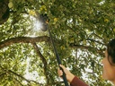 FISKARS OneClick Telescoopsteel M 119 - 374 cm