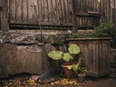 Bladhark FISKARS Solid L, 52 cm breed, met aluminium steel