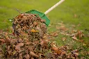 1316016-2.webp