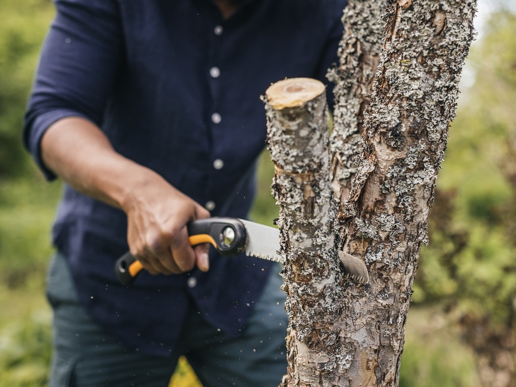 Snoeizaag - Vouwzaag FISKARS Plus SW69 met recht zaagblad 21 cm