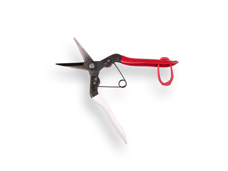 Stekschaar - Oogstschaar OKATSUNE 304, rechte lange bek, lengte 190 mm