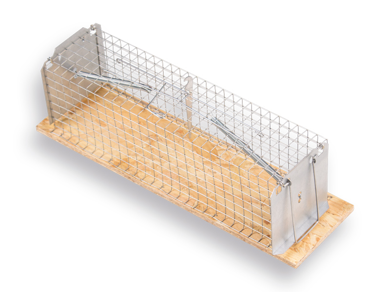Rattenval - Vangkooi LUNA tunnelmodel hout 35 cm