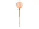 Kinderschepnet Jimmy Kids staal met houten steel